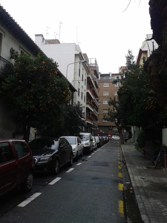 Appartamento New La Granada Esterno foto